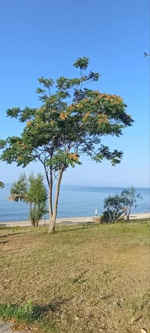 Pomegranate Seaside Corner Villa Фанарион Екстериор снимка