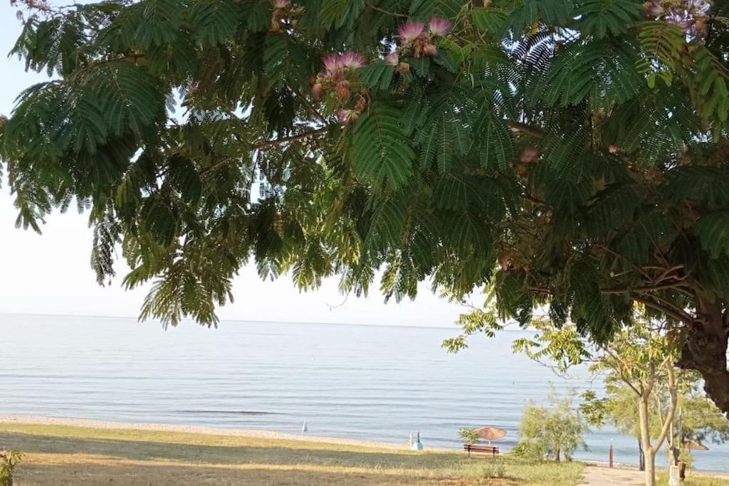 Pomegranate Seaside Corner Villa Фанарион Екстериор снимка